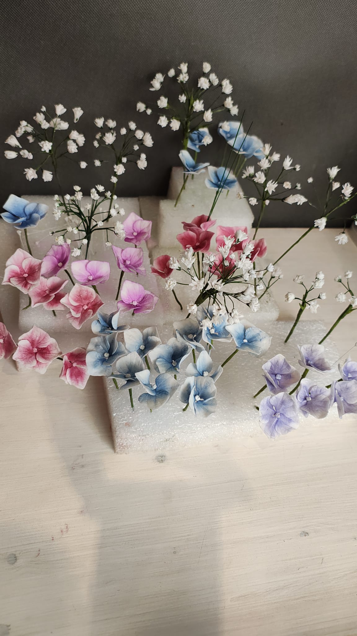 WhatsApp Image 2025-10-10 at 11.37.22 (3).jpeg